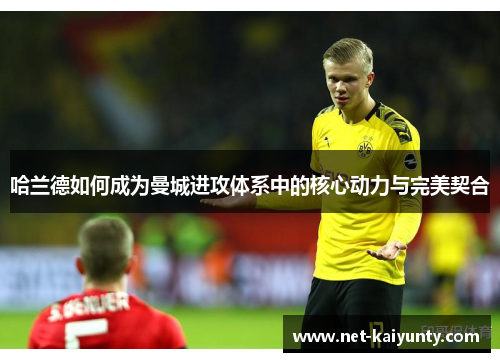 哈兰德如何成为曼城进攻体系中的核心动力与完美契合